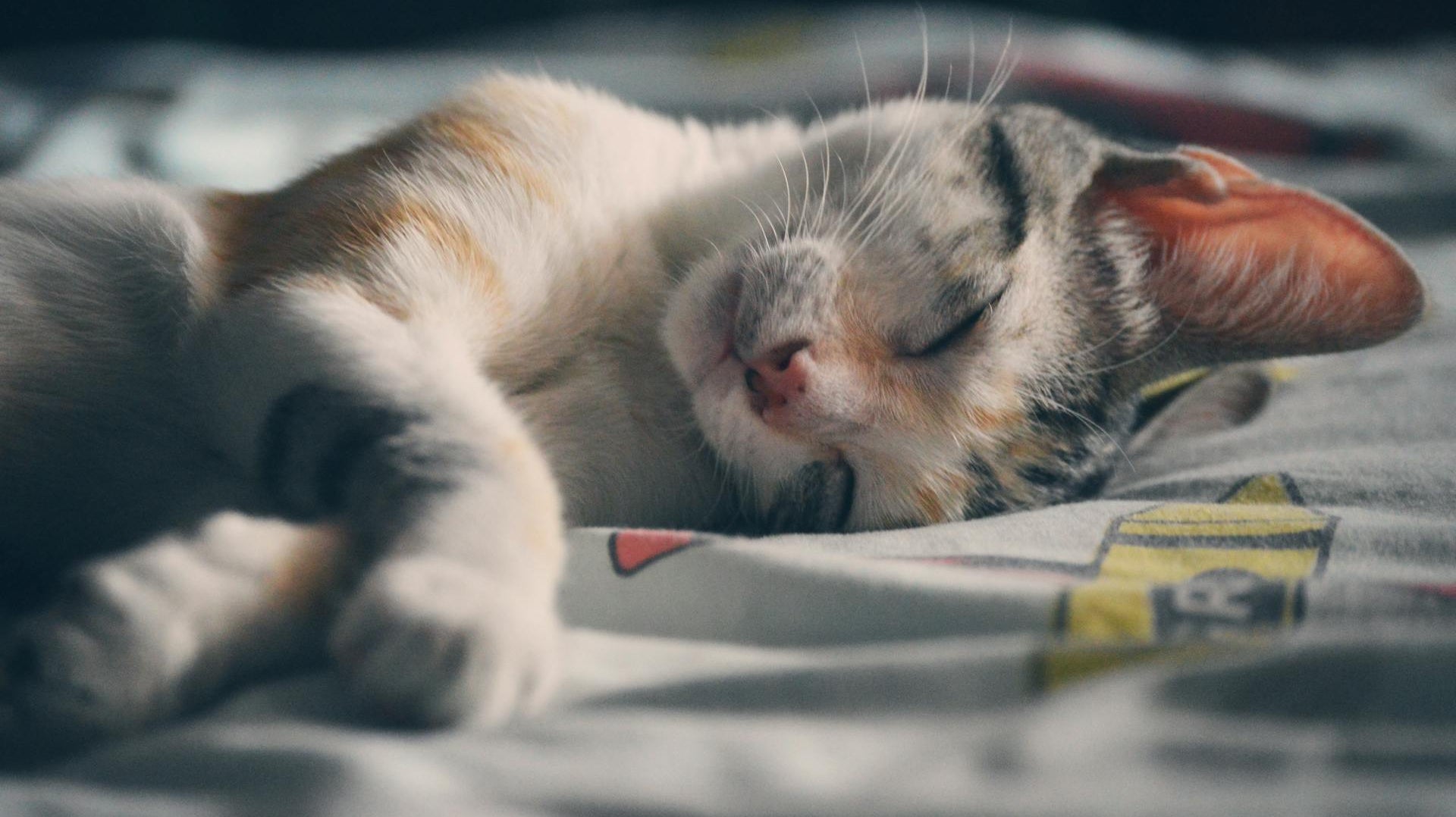 Pressure and Insomnia: How to Improve Your Sleep Quality