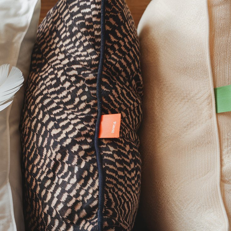 Differentiating Between Down, Feather, Foam, and Cotton Pillows