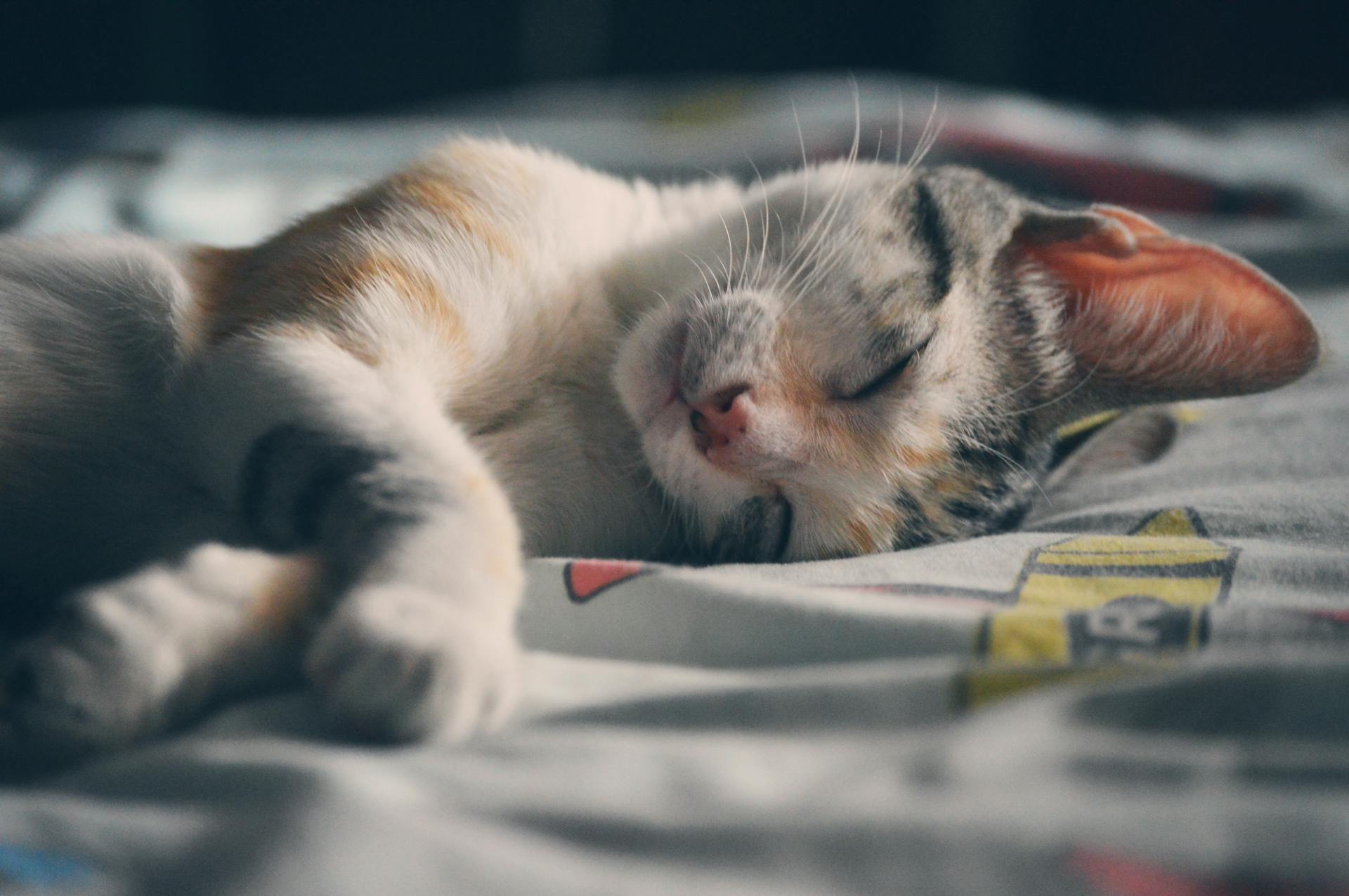 Pressure and Insomnia: How to Improve Your Sleep Quality