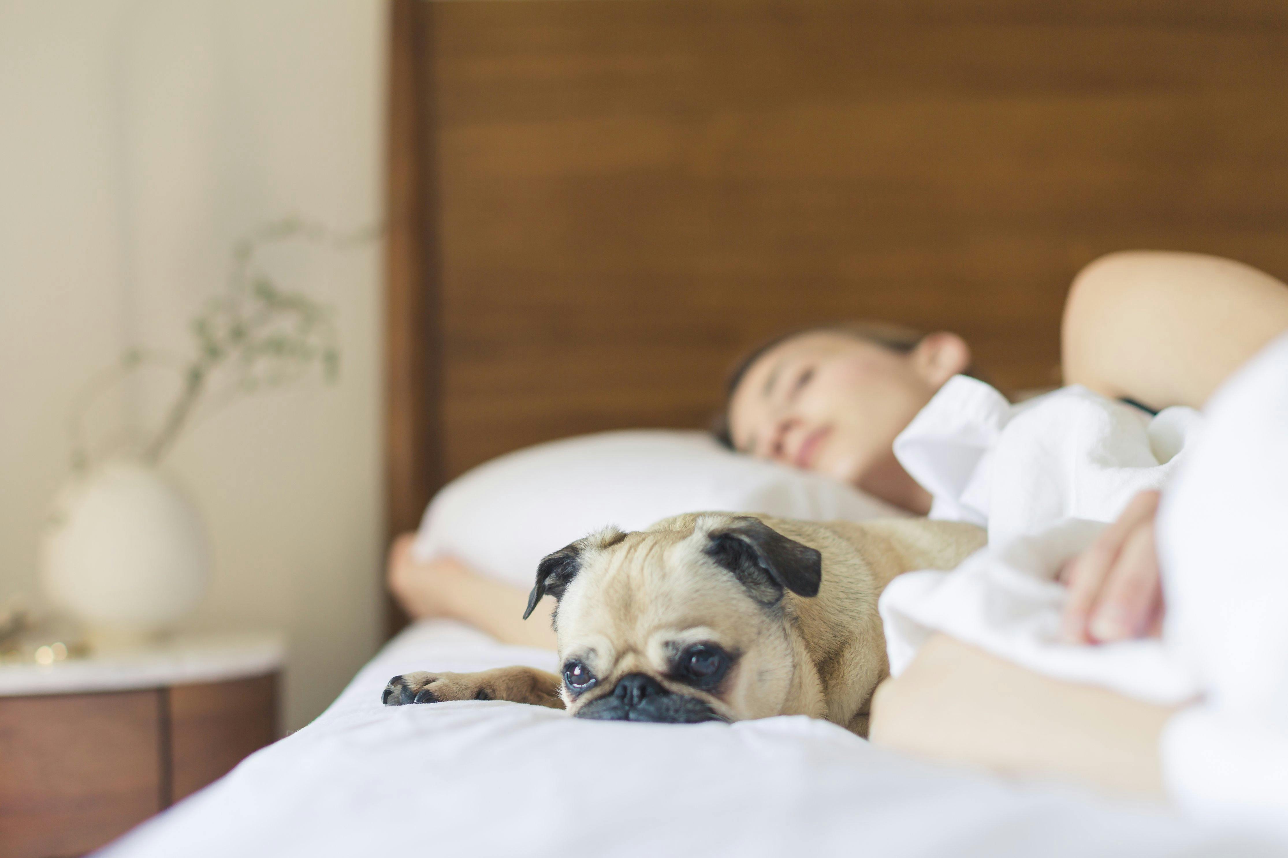 How to Create a Dreamy Bedroom for Peaceful Nights